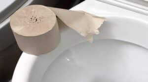 A roll of gray toilet paper lies on a white ceramic toilet in the bathroom