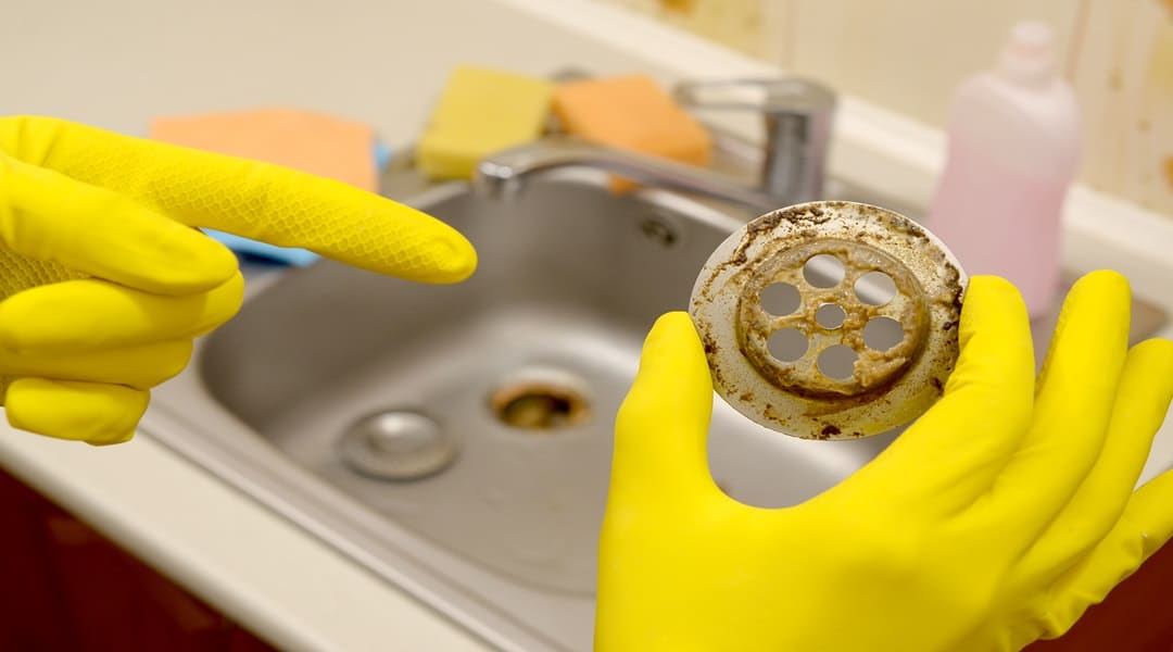 Cleaner in rubber gloves shows waste in the plughole protector of a kitchen sink